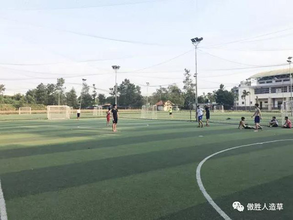 驚嘆｜高頻率使用超六年的球場草坪，竟顏值如新
