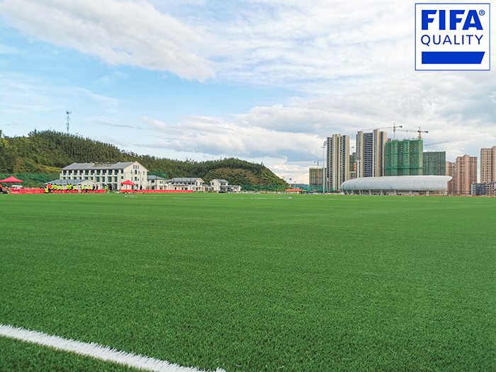 喜訊 | 江西定南國家訓(xùn)練基地獲FIFA國際足聯(lián)場地認(rèn)證！